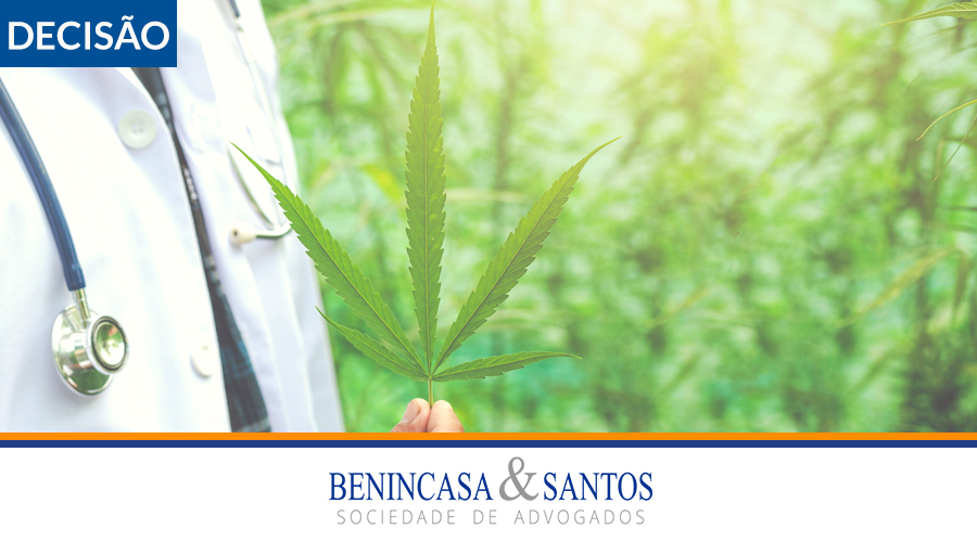 Justiça de SP autoriza farmácia manipular e comercializar produtos com cannabis